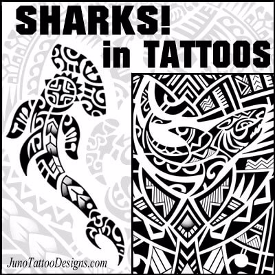 sharks designs in tattoos